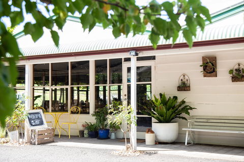 The Apple Farm - Dentist Find 2