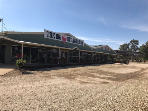 The Big Strawberry - Dentist Find 1