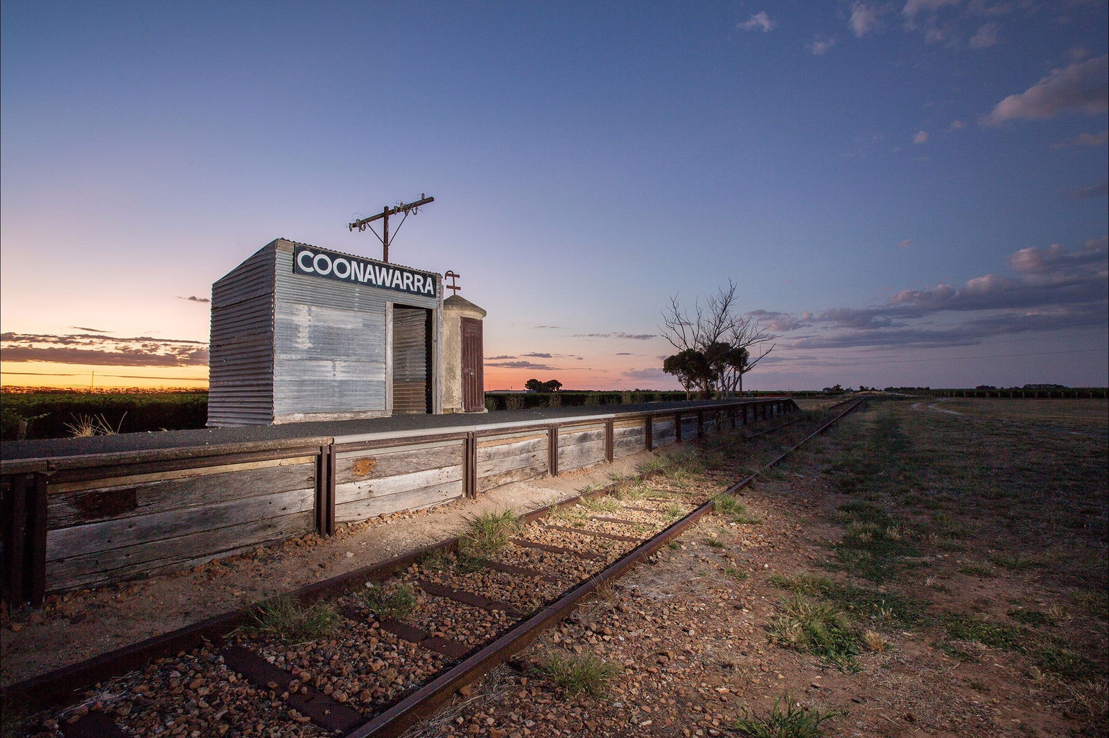 Brand's Laira of Coonawarra