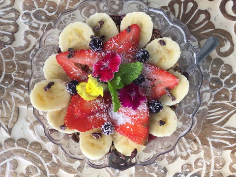 Coconut Coffee House Terranora - Dentist Find 1