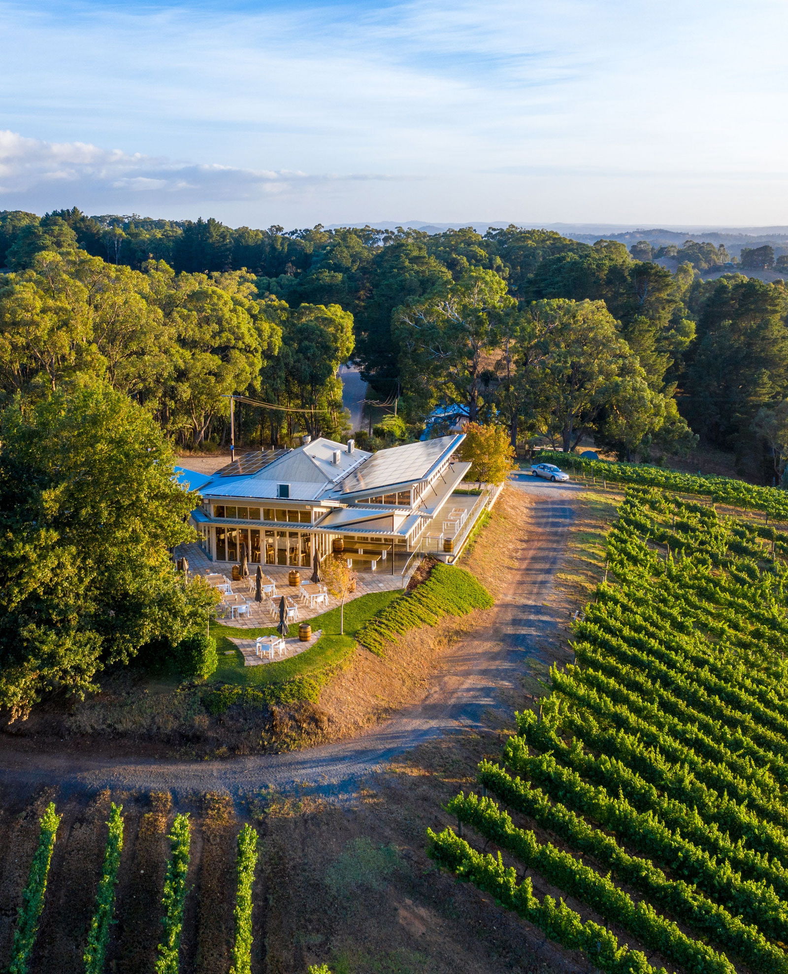 Pike and Joyce Wines