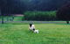 Goat Hill Farm - thumb 0