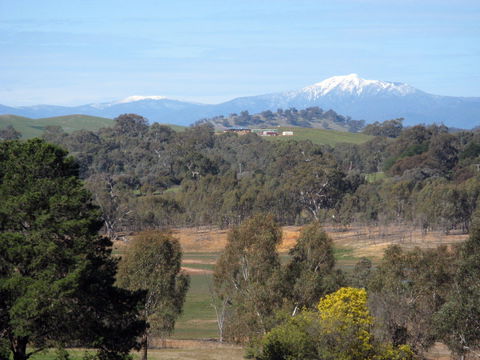 Chocolaterie RenMar - Dentists Australia 1