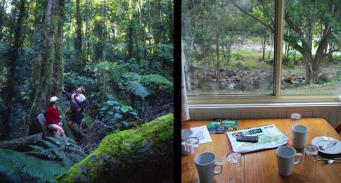 Mt Warning Rainforest Park