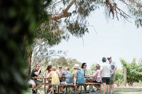 St Leonards Vineyard Café - Dentist Search 0