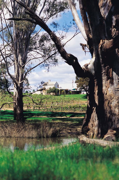 St Leonards Vineyard Café - Dentist Search 1