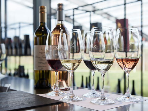 Levantine Hill - Dentist Search 1