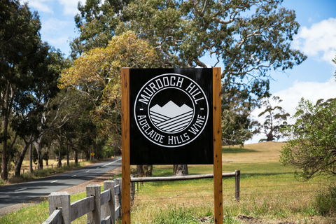 Murdoch Hill - Dentist Find 1