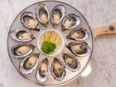 Tarkine Fresh Oysters - Dentist Find 2