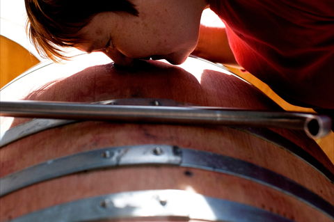 Yarrh Wines - Dentists Australia 2