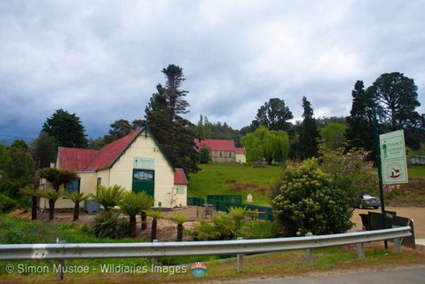 Frank's Cider House  And Cafe - Dentist Search 0