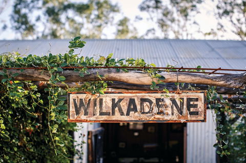 Wilkadene, Woolshed Brewery - Dentist Find 1