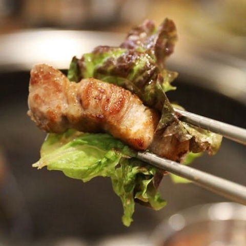 BBQ 1988 - Dentists Australia 0