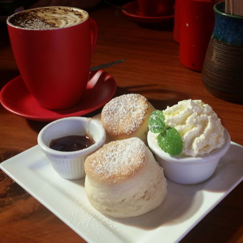 Idle In Cafe - Dentist Find 1