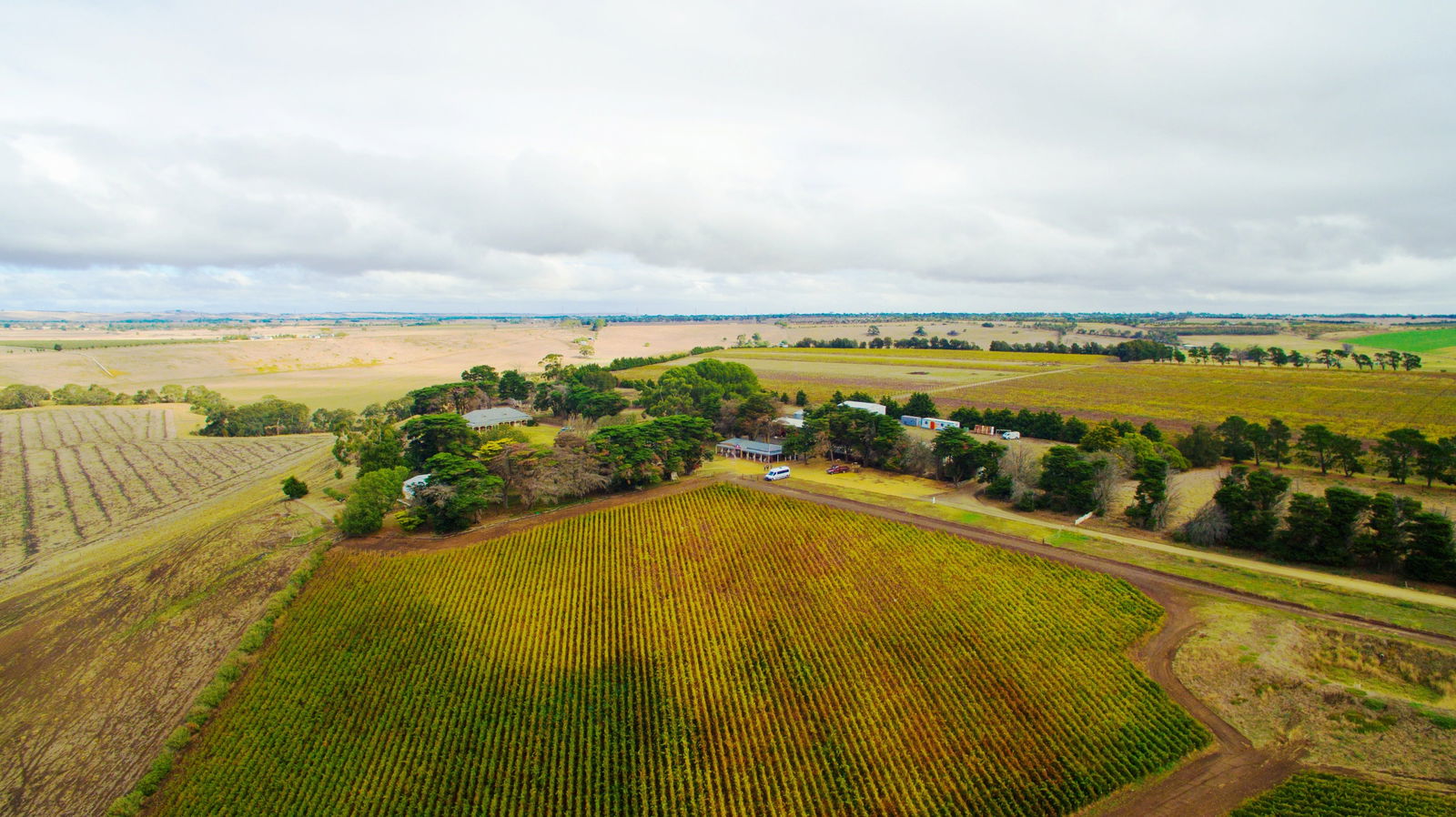 Pettavel Wines