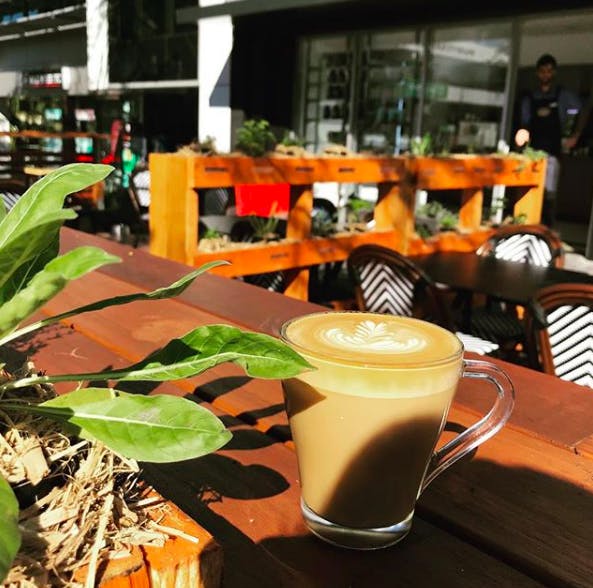 Apothecafe