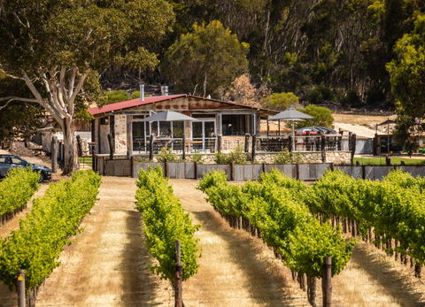 False Cape Wines Cellar Door - Dentists Australia 0