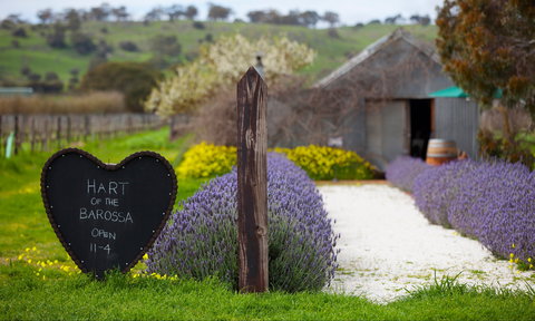 Hart Of The Barossa - Dentist Find 0