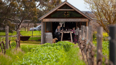 Hart Of The Barossa - Dentist Find 1