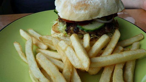 Hungry Wombat Cafe - Dentist Find 0