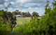 Victory Point Wines - thumb 0