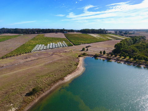 Victory Point Wines - Dentist Find 1