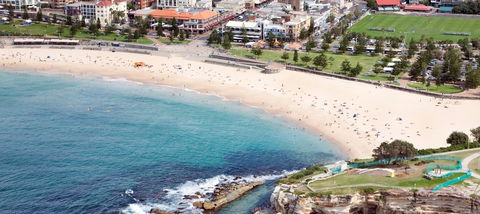 Coogee Legion Club - Dentist Find 2