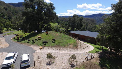Amaroo Valley Springs - Dentist Find 19