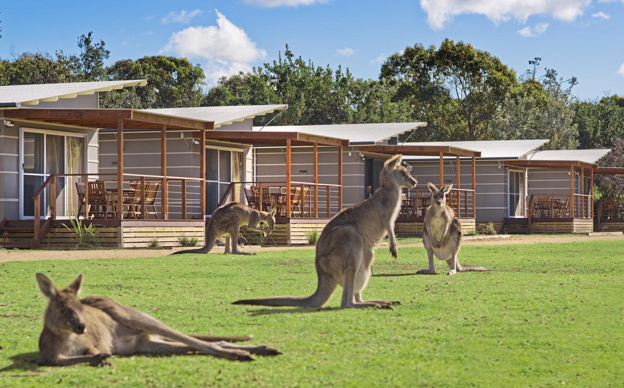 Discovery Parks  Pambula Beach