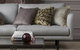 Bertie’s Total Interiors - thumb 11