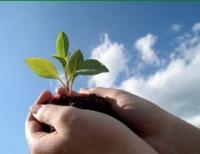 Vital Spirit Natural Health