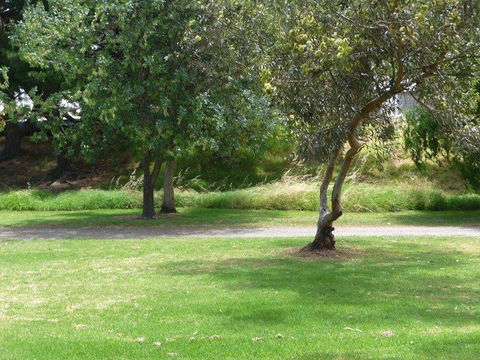 Victor Harbor Holiday & Cabin Park - Dentist Find 24