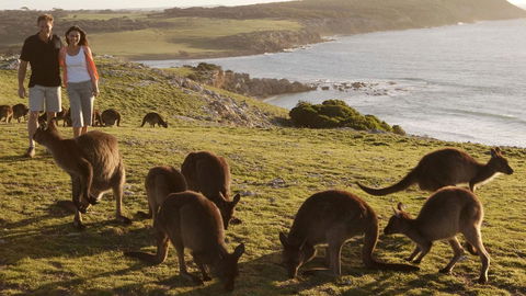 Kangaroo Island Seafront - Dentist Find 13
