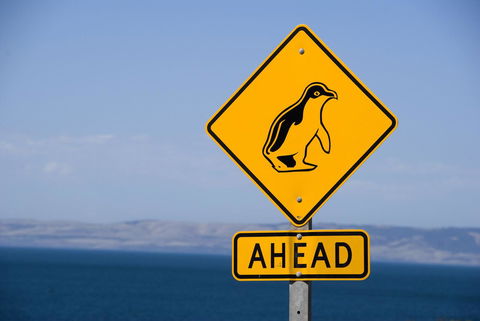 Kangaroo Island Seafront - Dentist Find 43