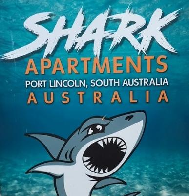 The Shark Apartments 1 - Dentist Find 15