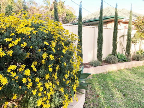 Beautiful Garden House - Dentist Find 2