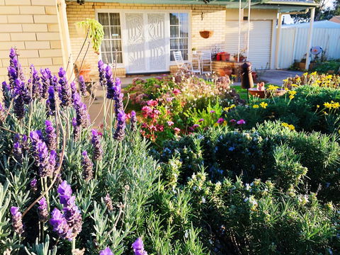 Beautiful Garden House - Dentist Find 9