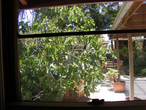 Trevalia Accommodation - Dentist Search 4