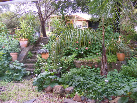 Trevalia Accommodation - Dentist Search 12