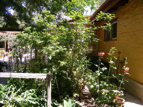 Trevalia Accommodation - Dentist Search 7