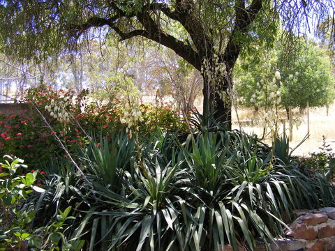 Trevalia Accommodation - Dentist Search 6