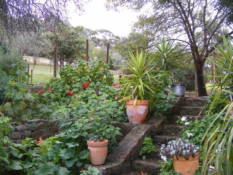 Trevalia Accommodation - Dentist Search 13