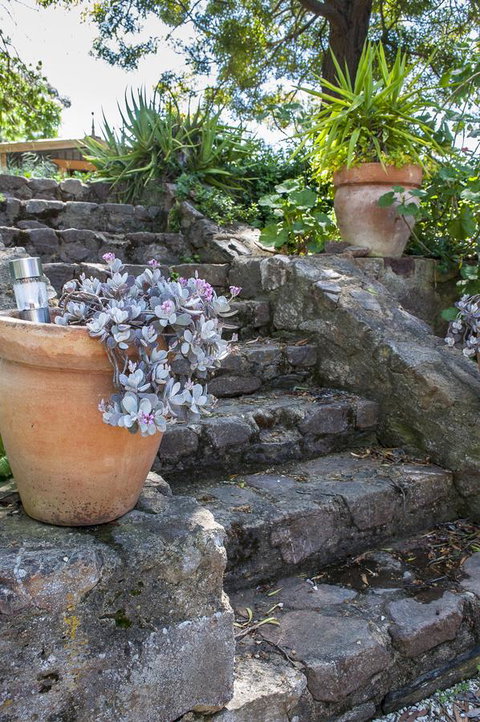 Trevalia Accommodation - Dentist Search 22