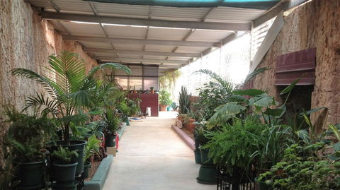 Underground Gem - Dentists Australia 23