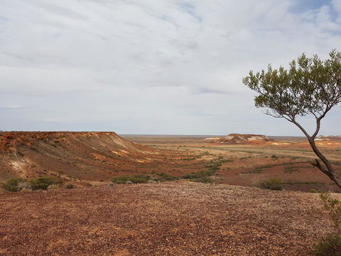 Underground Gem - Dentists Australia 30