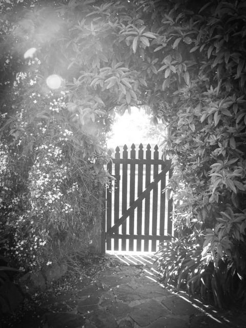 Haven Cottage Kangaroo Island - Dentist Find 33