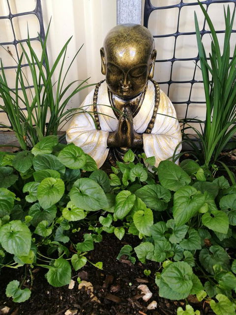 Hilda Anna's - Dentist Find 44