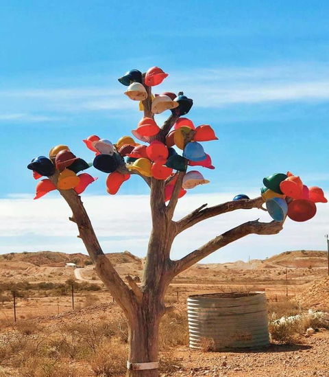 Aussie Opal Diggers Outback Retreat-Undergound - Dentist Search 29