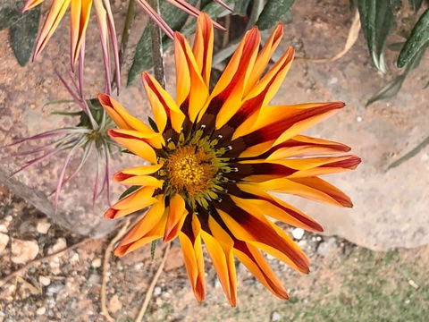 Aussie Opal Diggers Outback Retreat-Undergound - Dentist Search 26