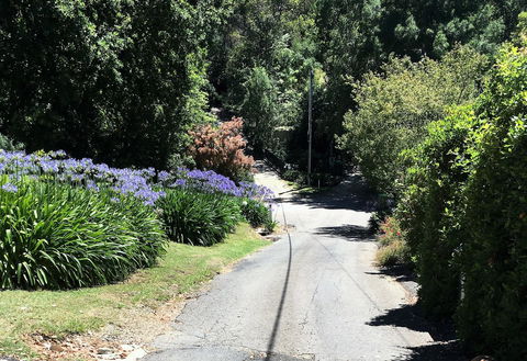 Hilltop - Dentist Find 2